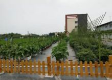 5月廣州免費(fèi)科普一日游又來(lái)了,這里有報(bào)名游玩全攻略