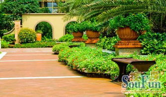 較高優(yōu)惠達(dá)6萬