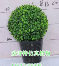 仿真樹批發(fā) 中高端仿真米蘭樹 生態(tài)園林裝飾 綠化工程 - 仿真樹批發(fā) 中高端仿真米蘭樹 生態(tài)園林裝飾 綠化工程廠家 - 仿真樹批發(fā) 中高端仿真米蘭樹 生態(tài)園林裝飾 綠化工程價(jià)格 - 東莞市愛詩特實(shí)業(yè) - 