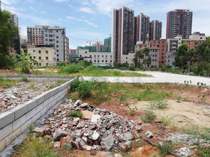 大亞灣中心區澳子村優質地皮出售 80平手續齊全，含過戶僅售135萬